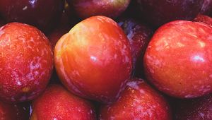 Preview wallpaper apples, fruits, red, wet