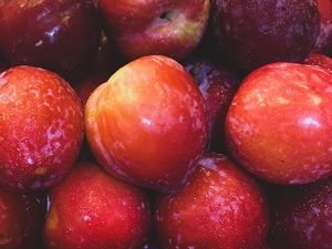 Preview wallpaper apples, fruits, red, wet