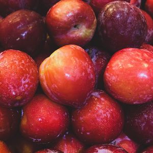 Preview wallpaper apples, fruits, red, wet