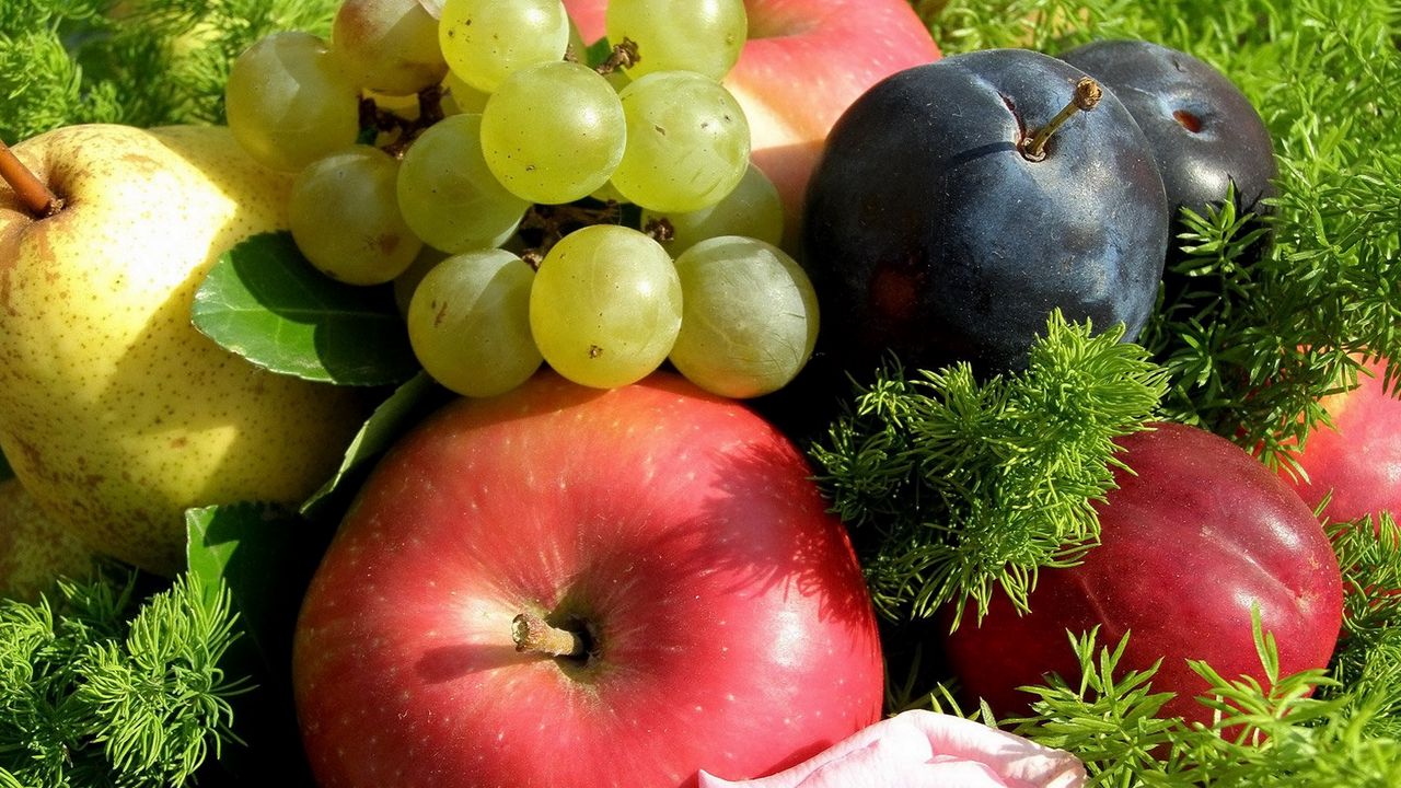Wallpaper apples, grapes, plums, fruit, grass