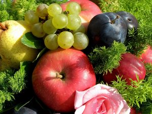 Preview wallpaper apples, grapes, plums, fruit, grass