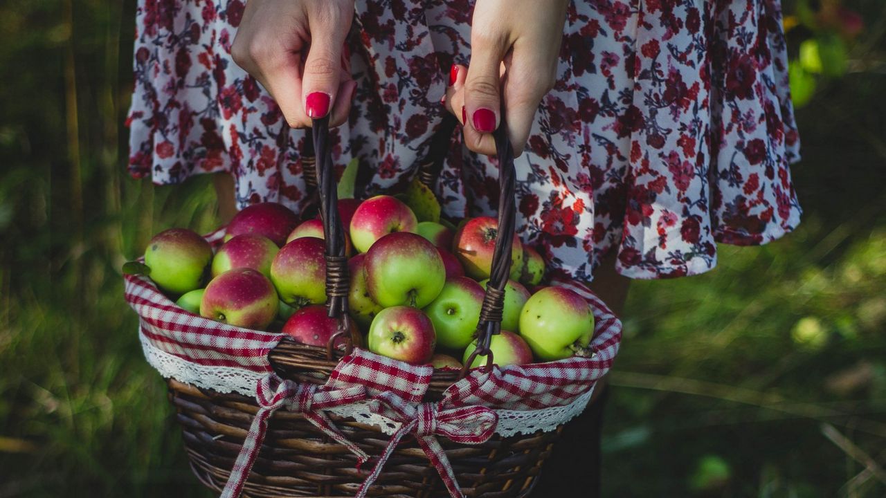 Wallpaper apples, harvest, basket, girl