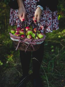 Preview wallpaper apples, harvest, basket, girl
