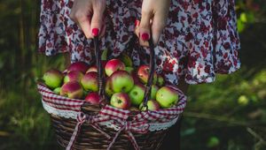 Preview wallpaper apples, harvest, basket, girl