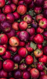 Preview wallpaper apples, harvest, ripe, red, pink