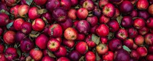 Preview wallpaper apples, harvest, ripe, red, pink