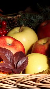 Preview wallpaper apples, mountain ash, basket, flowers