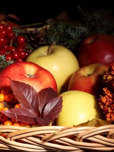 Preview wallpaper apples, mountain ash, basket, flowers