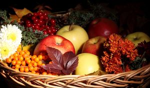 Preview wallpaper apples, mountain ash, basket, flowers