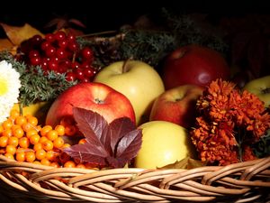 Preview wallpaper apples, mountain ash, basket, flowers