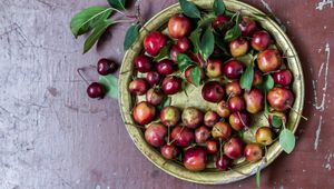 Preview wallpaper apples, paradisiacal apples, nankeen, plate