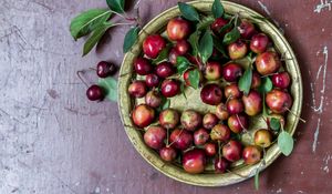 Preview wallpaper apples, paradisiacal apples, nankeen, plate