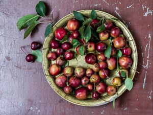 Preview wallpaper apples, paradisiacal apples, nankeen, plate