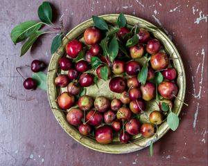 Preview wallpaper apples, paradisiacal apples, nankeen, plate