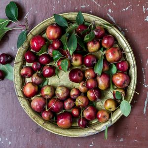 Preview wallpaper apples, paradisiacal apples, nankeen, plate