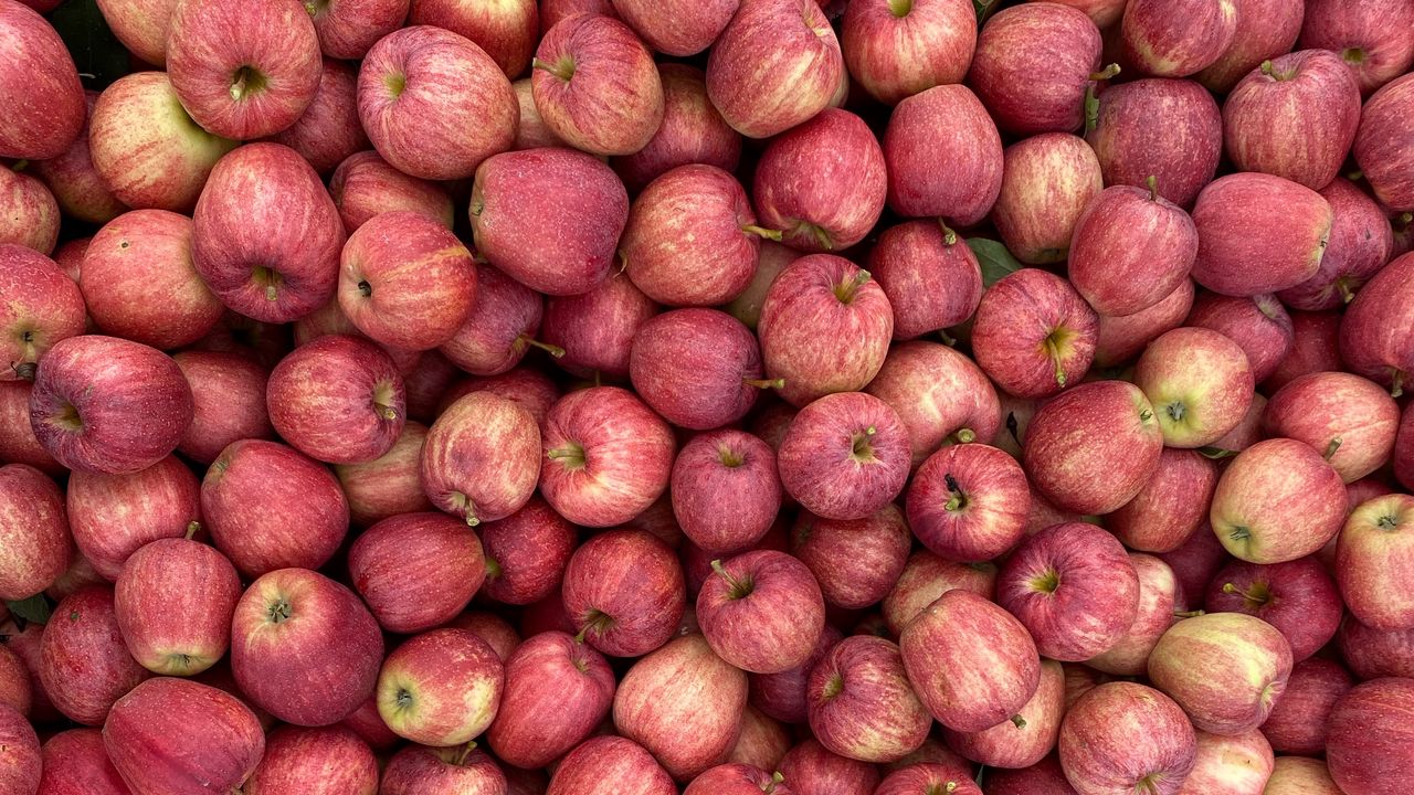 Wallpaper apples, red, fruit, harvest