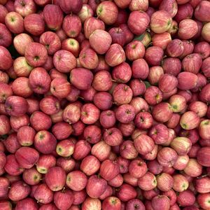 Preview wallpaper apples, red, fruit, harvest