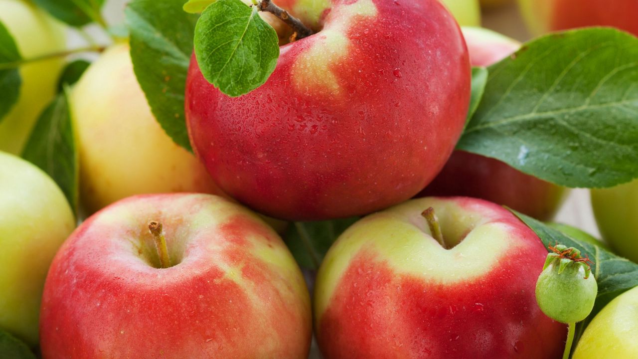 Wallpaper apples, ripe, fruit