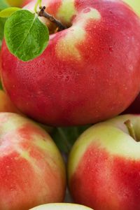 Preview wallpaper apples, ripe, fruit