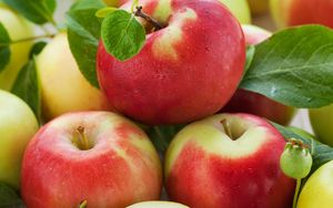 Preview wallpaper apples, ripe, fruit