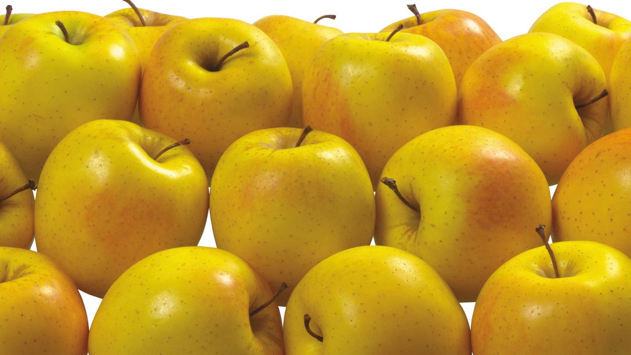 Wallpaper apples, yellow, delicious, fruit, healthy hd, picture, image