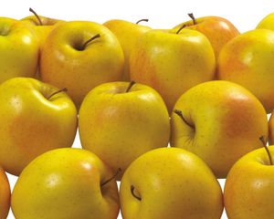 Preview wallpaper apples, yellow, delicious, fruit, healthy