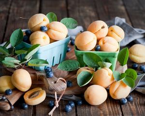 Preview wallpaper apricots, blueberries, dishes, fruit