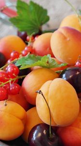 Preview wallpaper apricots, cherries, currants, fruit, berries