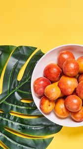 Preview wallpaper apricots, fruit, bowl, fresh, yellow