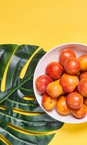 Preview wallpaper apricots, fruit, bowl, fresh, yellow