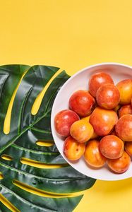 Preview wallpaper apricots, fruit, bowl, fresh, yellow