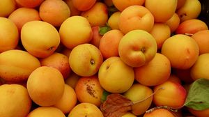 Preview wallpaper apricots, fruit, fresh, yellow