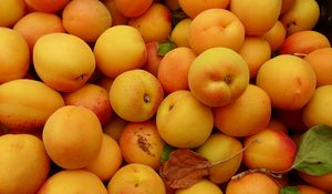 Preview wallpaper apricots, fruit, fresh, yellow