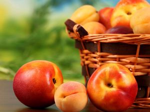 Preview wallpaper apricots, fruit, peaches, nectarines