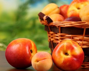 Preview wallpaper apricots, fruit, peaches, nectarines