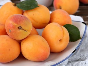 Preview wallpaper apricots, fruit, plate