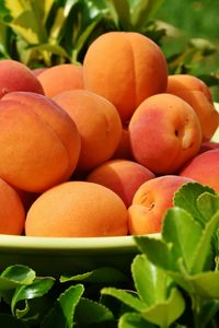 Preview wallpaper apricots, fruit, ripe, grass