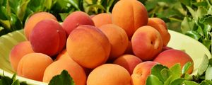 Preview wallpaper apricots, fruit, ripe, grass