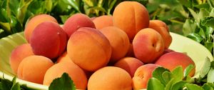 Preview wallpaper apricots, fruit, ripe, grass