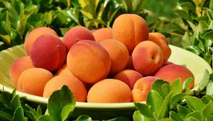 Preview wallpaper apricots, fruit, ripe, grass