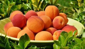 Preview wallpaper apricots, fruit, ripe, grass