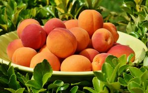 Preview wallpaper apricots, fruit, ripe, grass