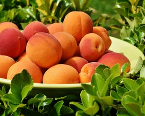 Preview wallpaper apricots, fruit, ripe, grass