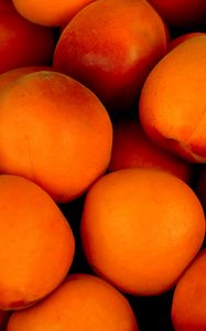 Preview wallpaper apricots, fruit, ripe