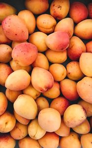 Preview wallpaper apricots, fruit, ripe, harvest