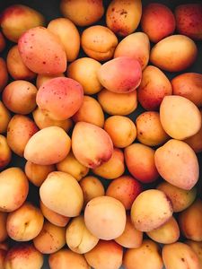 Preview wallpaper apricots, fruit, ripe, harvest