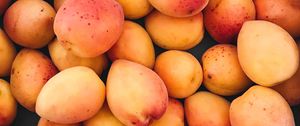 Preview wallpaper apricots, fruit, ripe, harvest