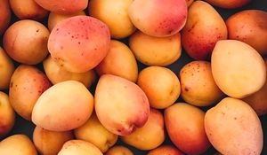 Preview wallpaper apricots, fruit, ripe, harvest