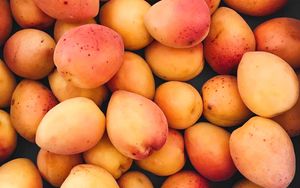 Preview wallpaper apricots, fruit, ripe, harvest