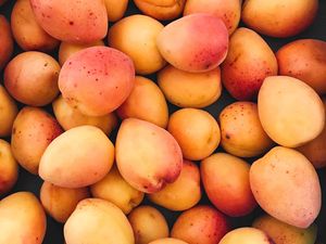 Preview wallpaper apricots, fruit, ripe, harvest